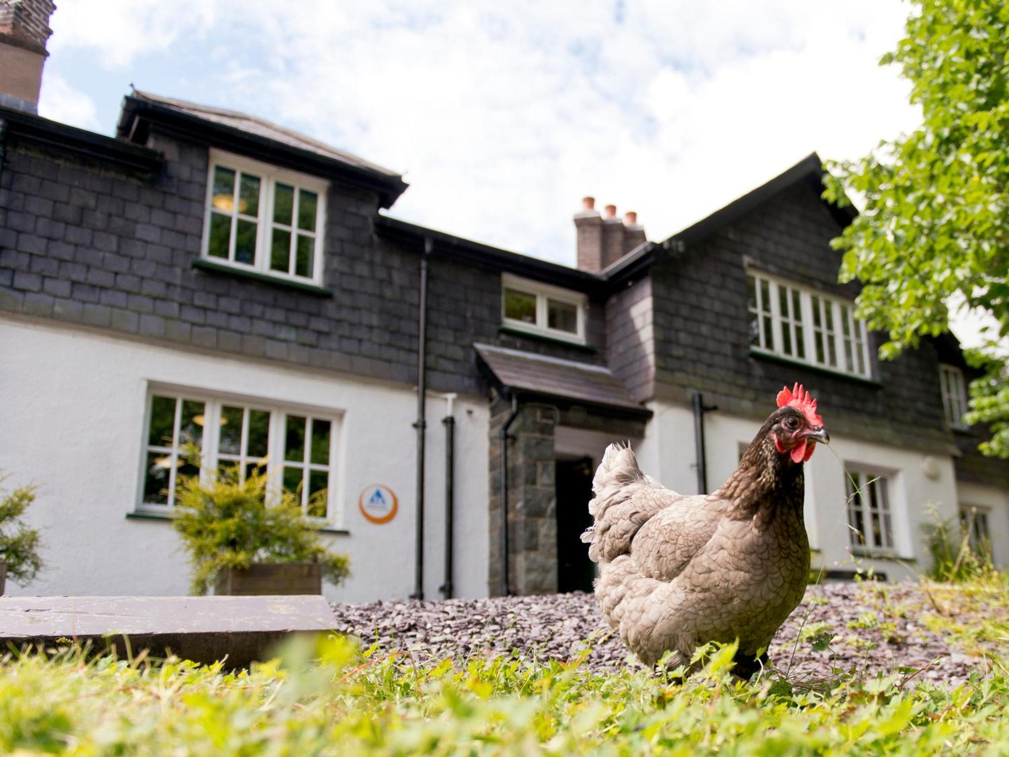 Yha Idwal Cottage Bethesda Exterior foto