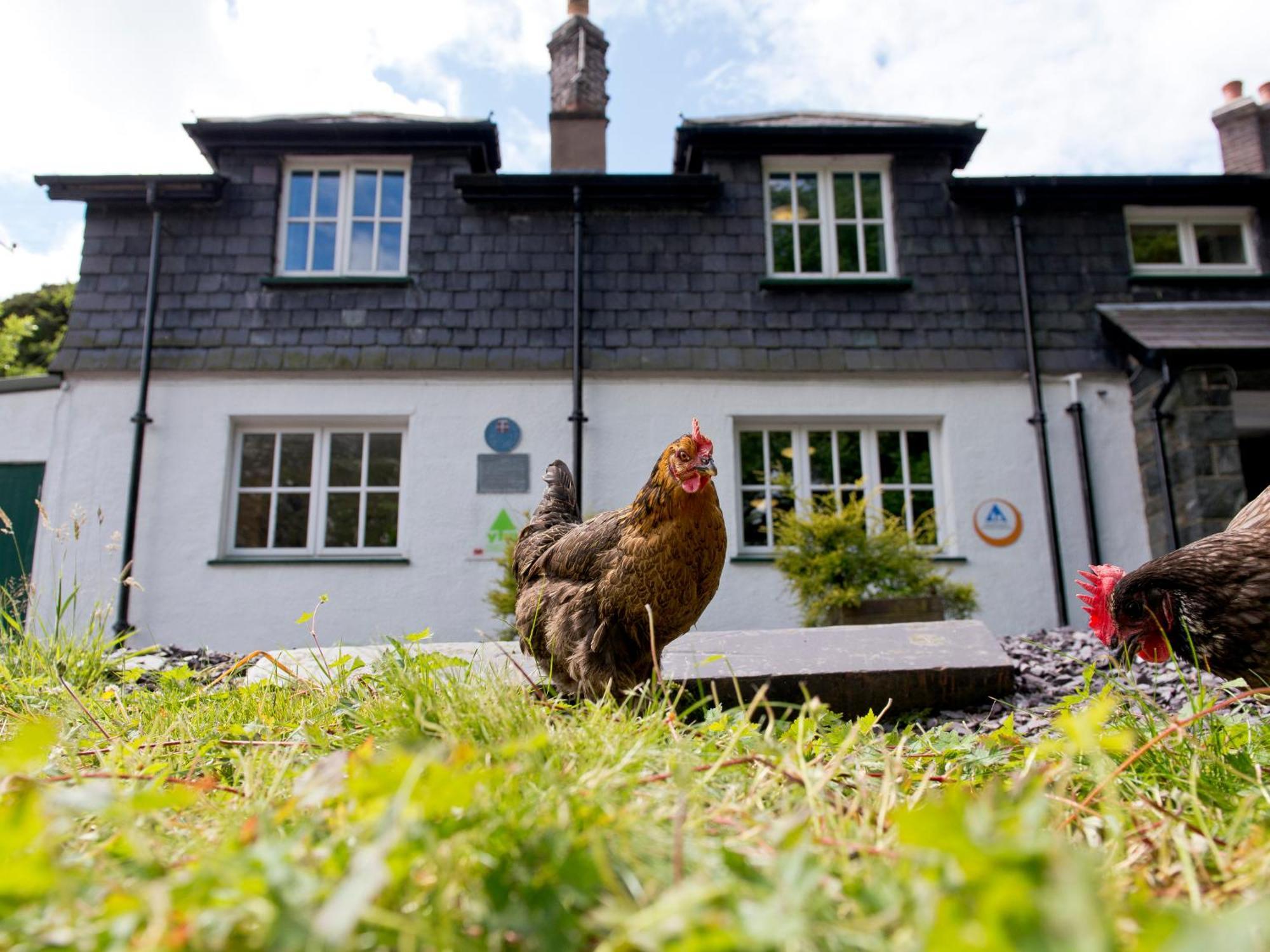 Yha Idwal Cottage Bethesda Exterior foto
